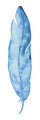 Image Not Available
